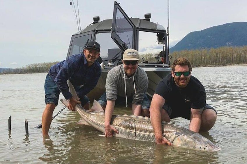 Sturgeon fishing on the Fraser river