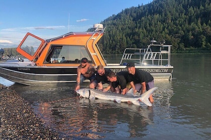 Sturgeon fishing on the Fraser river