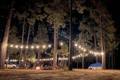 Camp in Hanson Lagoon