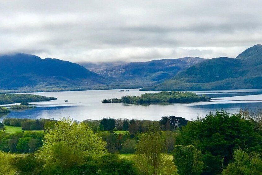 Private Full Day Tour From Killarney - Ring of Kerry/Skellig