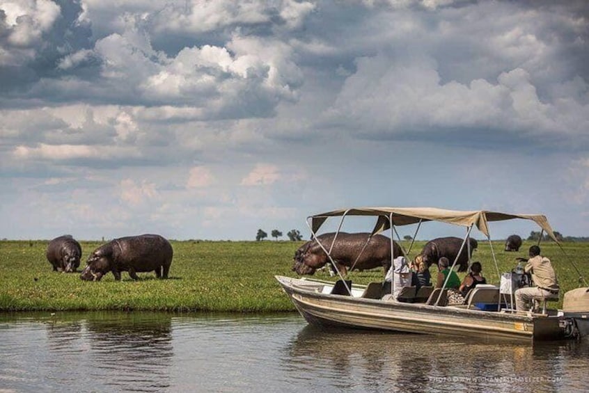 3 Hours Chobe River Boat Cruise