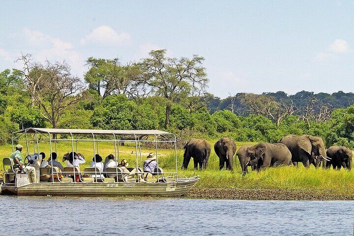 3 Hours Chobe River Boat Cruise