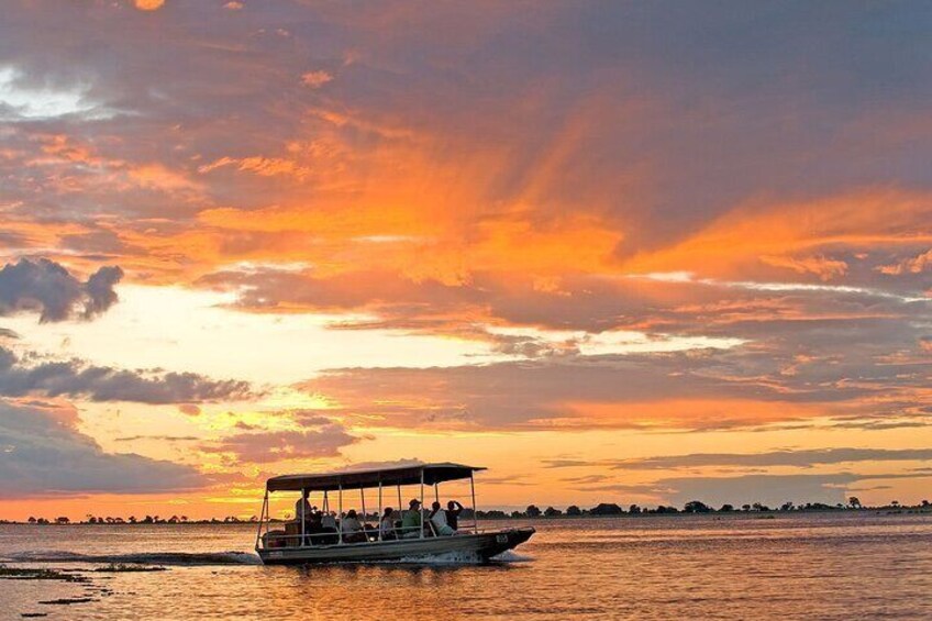 Chobe River Game Cruise