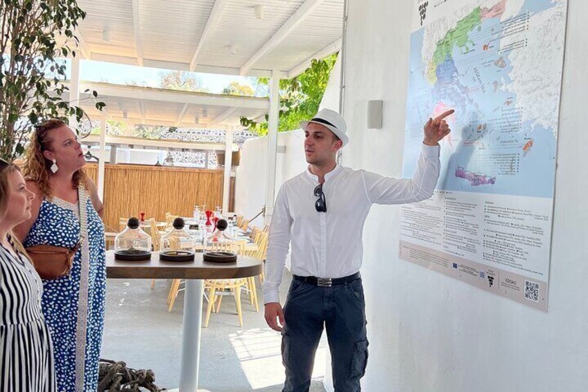 Santorini Wine Experience: Private Tour with Sommelier