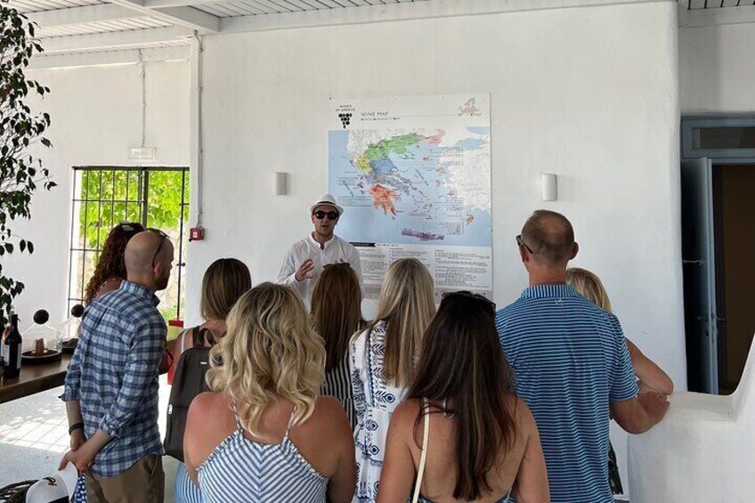 Santorini Wine Experience: Private Tour with Sommelier