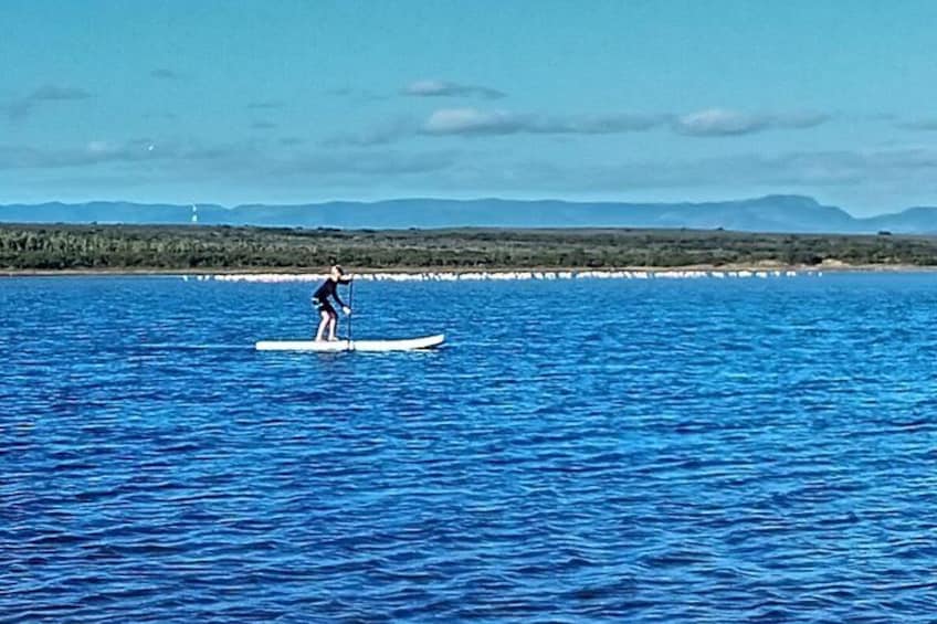 Stand Up Paddle Boarding Jeffreys Bay