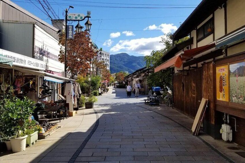 Matsumoto Private One Day Tour from Nagano with Tour Guide and Private Vehicle