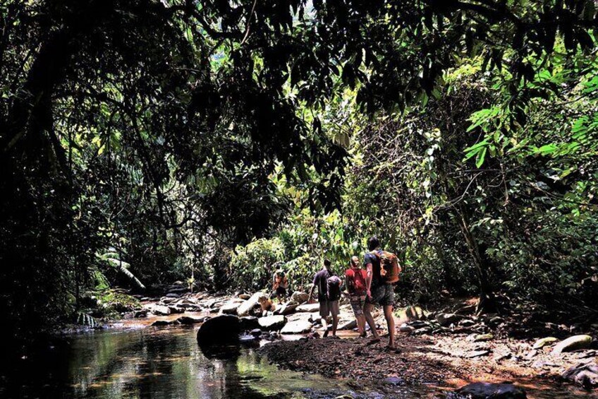 Monkey Business 2 days - 1 night Jungle Trekking (including rafting)