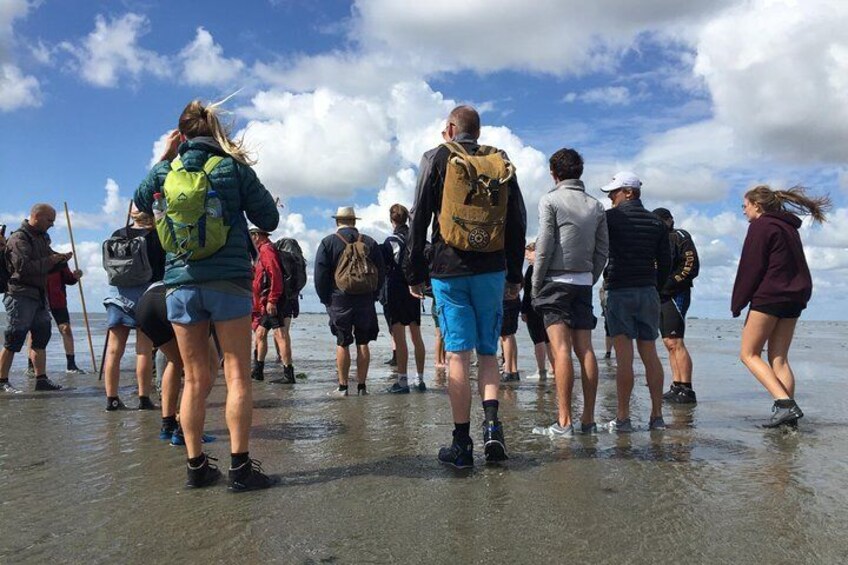 Walking the mudflats with low tide.