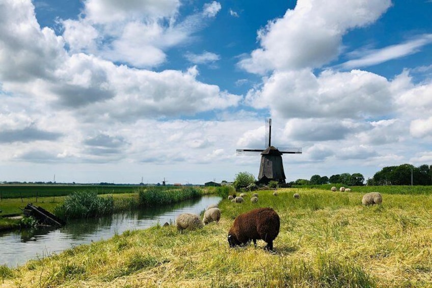 Dutch Country side
