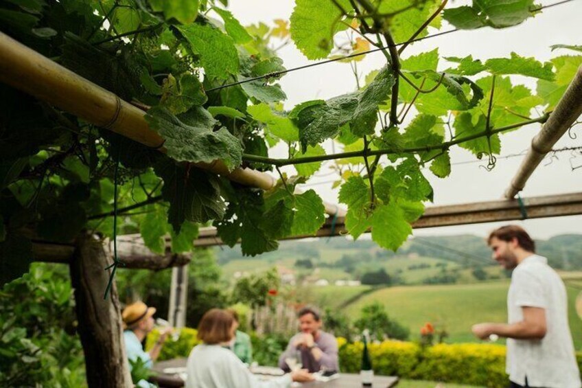 BASQUE CHEESE and TXAKOLI WINE - Private Gastronomic Adventure