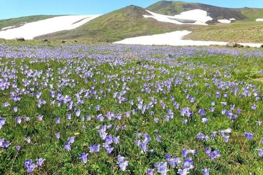 Geghama mountain ridge