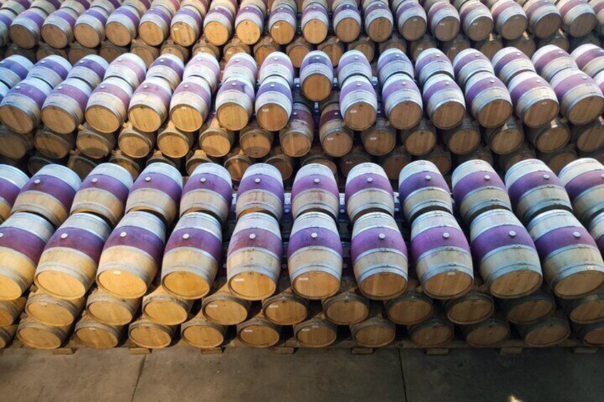 Barrel room in a winery