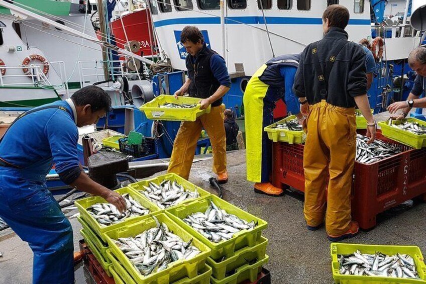 Basque fishing port