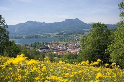 Picturesque Salzkammergut Region