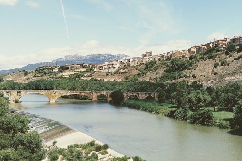 Full-Day Private Cultural and Gastronomic Adventure in Rioja