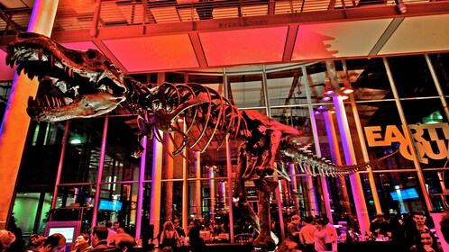 การรับสมัคร NightLife ที่ California Academy of Sciences