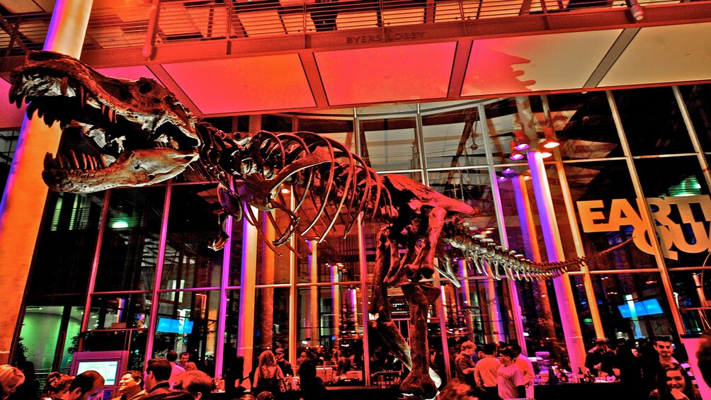 Tyrannosaurus Rex skeleton stands above patrons of museum at night in San Francisco  