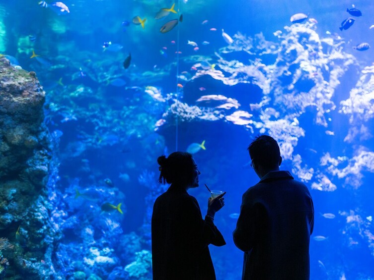 NightLife Admission at the California Academy of Sciences