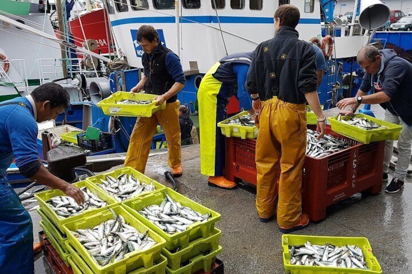 Fishermen at the port