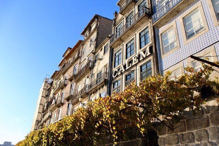 Xperience Porto and Lello Bookshop