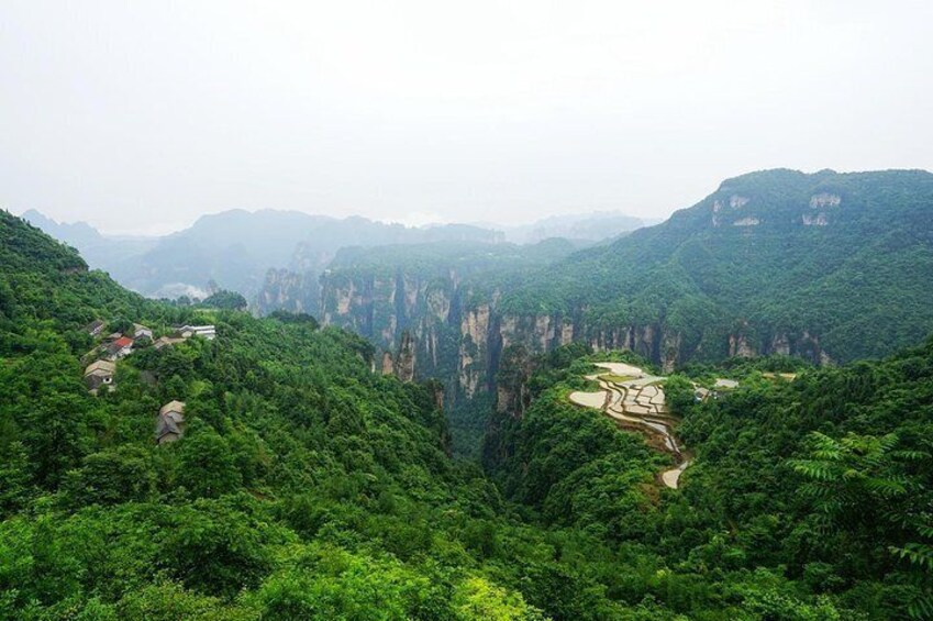 2-Day Private Tour to Zhangjiajie from Shanghai by Air with Accommodation