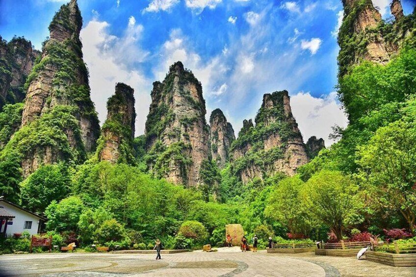 2-Day Private Tour to Zhangjiajie from Shanghai by Air with Accommodation