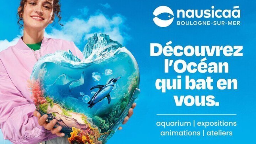 Entrance Ticket Nausicaa, the biggest aquarium in Europe