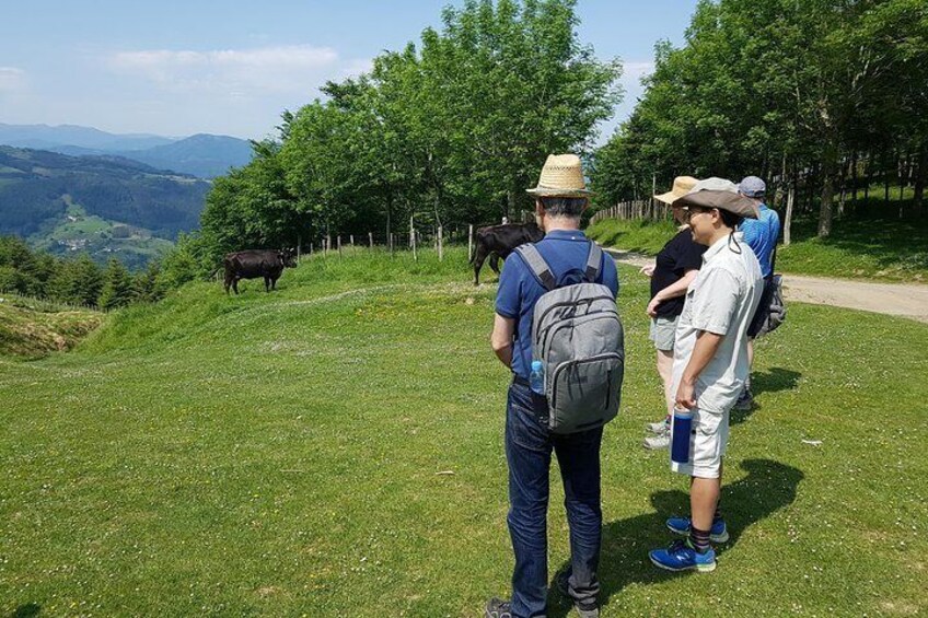 Mount Hernio Hiking Tour from San Sebastian