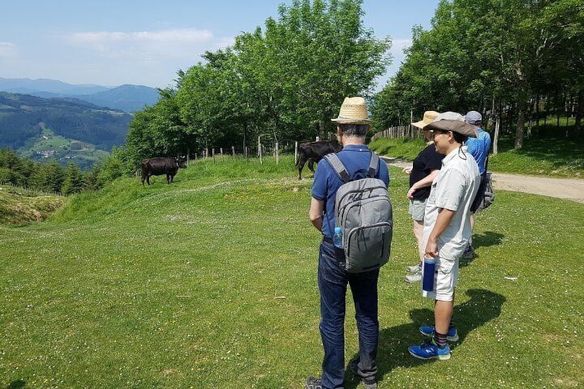 Mount Hernio Hiking Tour from San Sebastian
