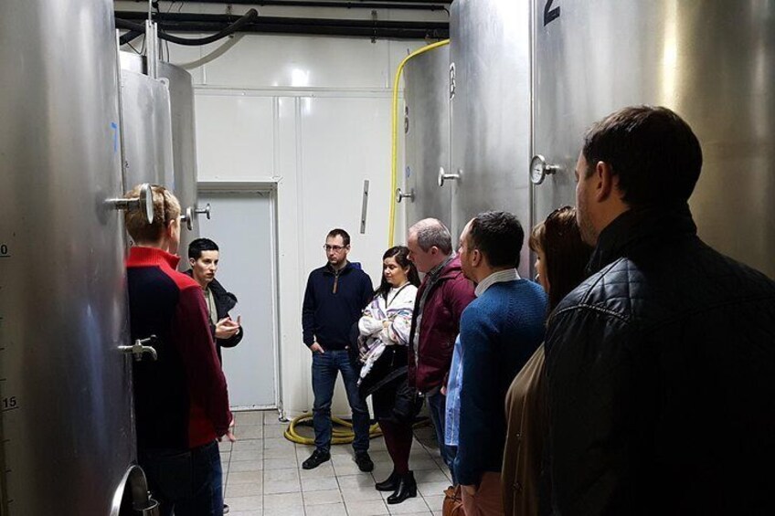 Guided visit in the winery