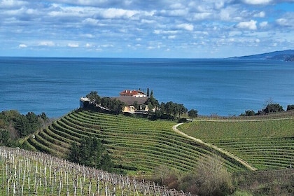 Private Txakoli Wine Tour through the Coast from San Sebastian