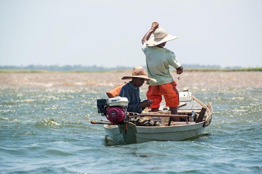 Water Encounter Selvagem Tours