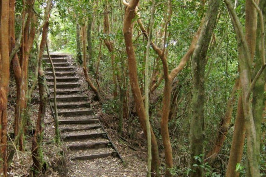 Darwin Route