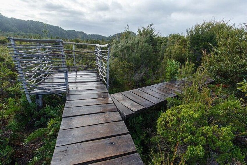 Full Day Private Chiloe National Park Tour Following "The Darwin´s Route" 