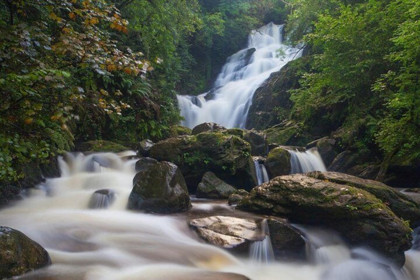 Killarney Highlights Half Day Tour (4 Hours) with Award Winning Driver/Guide