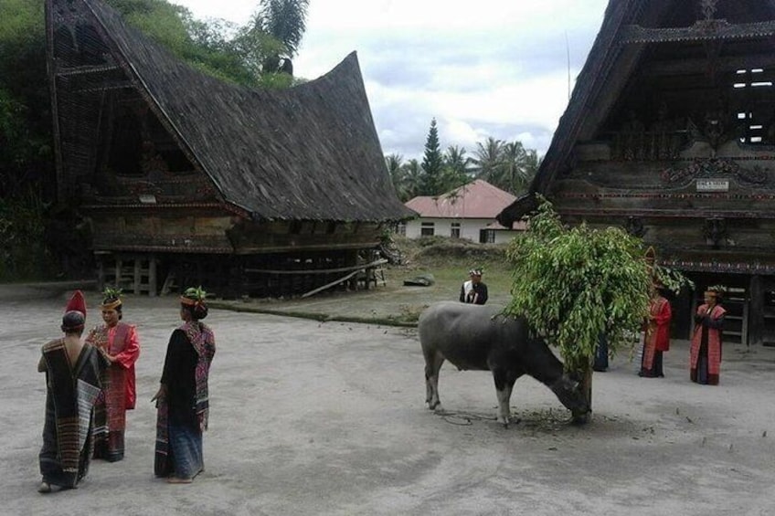 Traditional Batak House