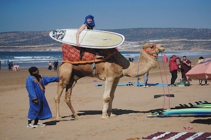 From Agadir: Taghazout Day Surf Lesson with Lunch and Transfer