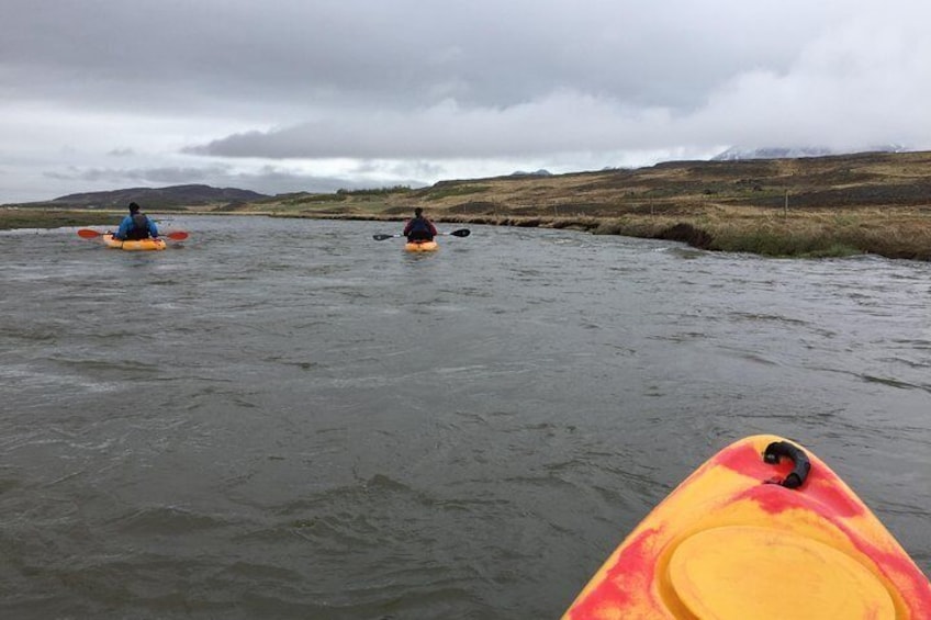 Guided Sit on Top Kayak Tour