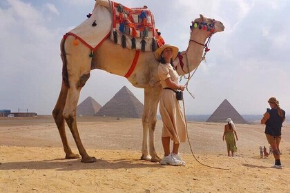 Full-Day Trip Giza pyramids & Egyptian museum From Sharm El-sheikh by plane