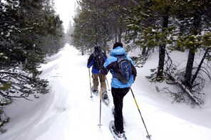 Mt. Rainier Full-Day Tour