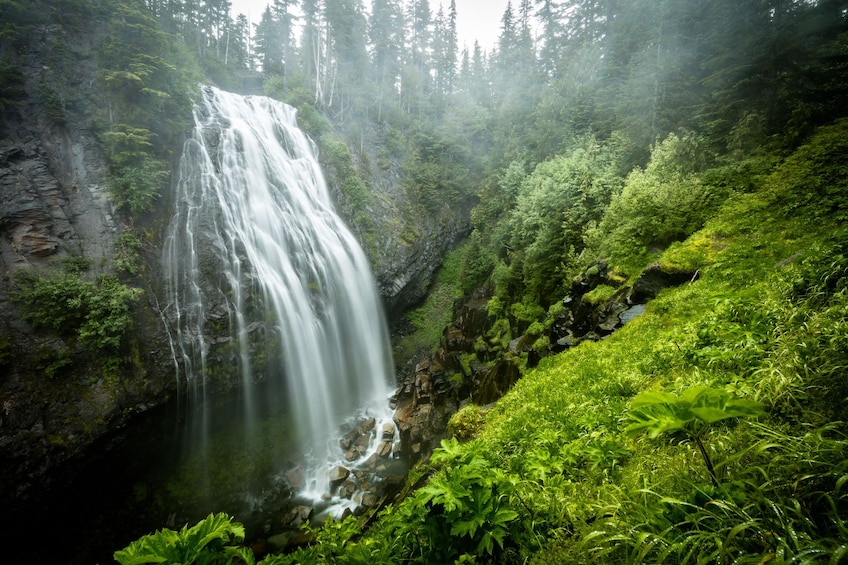 Mt. Rainier Full-Day Tour