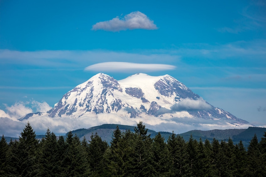 Mt. Rainier Full-Day Tour