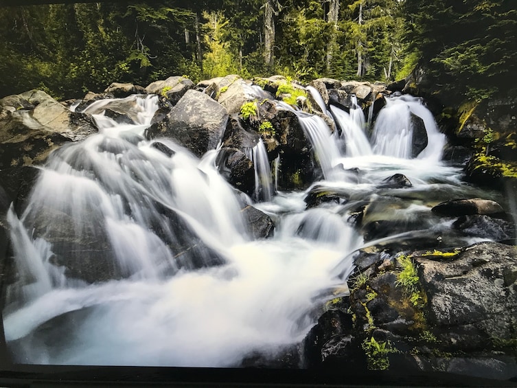 Mt. Rainier Full-Day Tour