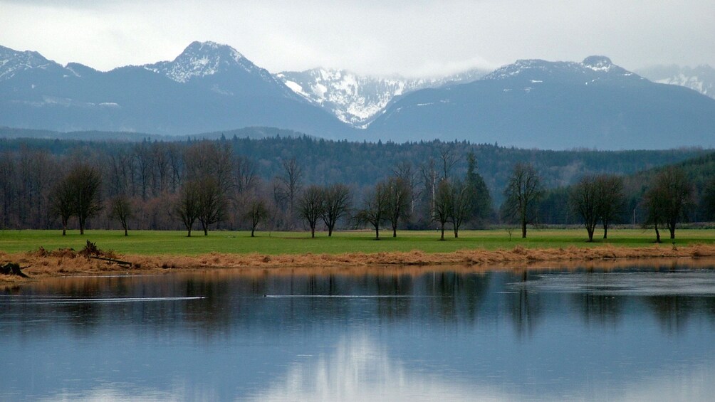 Mountain view near seattle washington