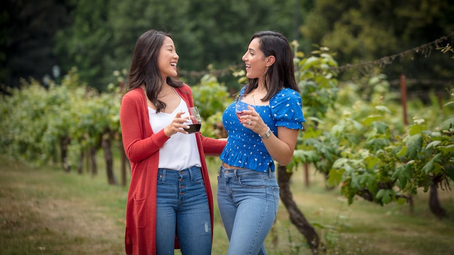 Snoqualmie Falls & Seattle Winery Tour