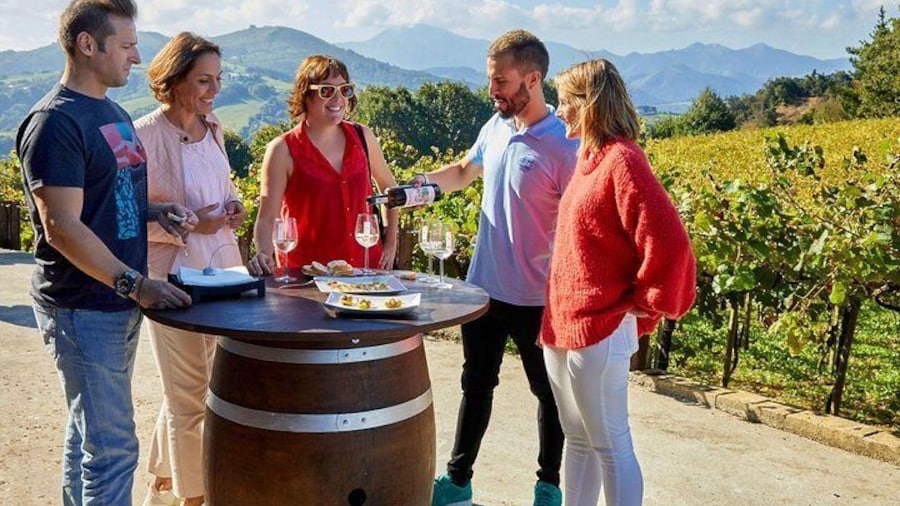 Discover the Essence of Txakoli Wine from San Sebastian