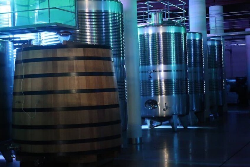 Bilbao Txakoli Wine Tour