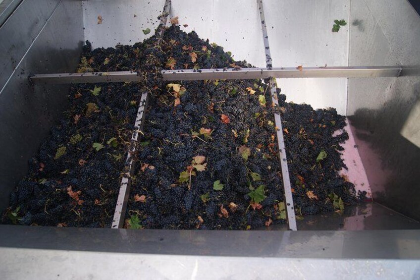 La Rioja Small Group Tour: Winery Visit, Wine Tasting and Traditional Lunch