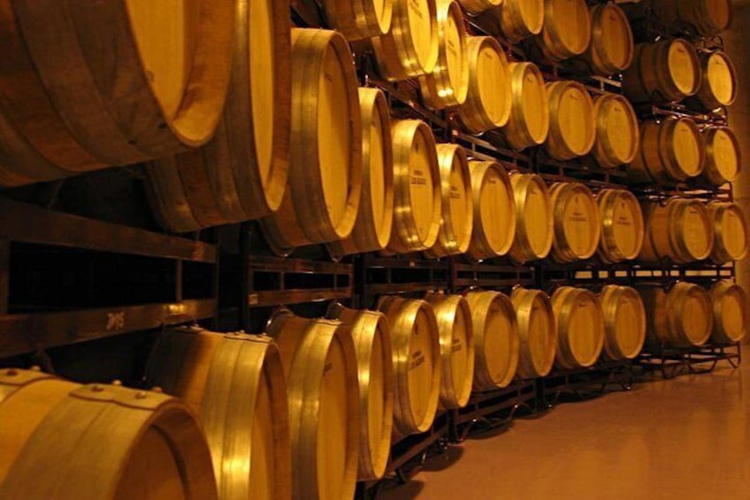 La Rioja Small Group Tour: Winery Visit, Wine Tasting and Traditional Lunch